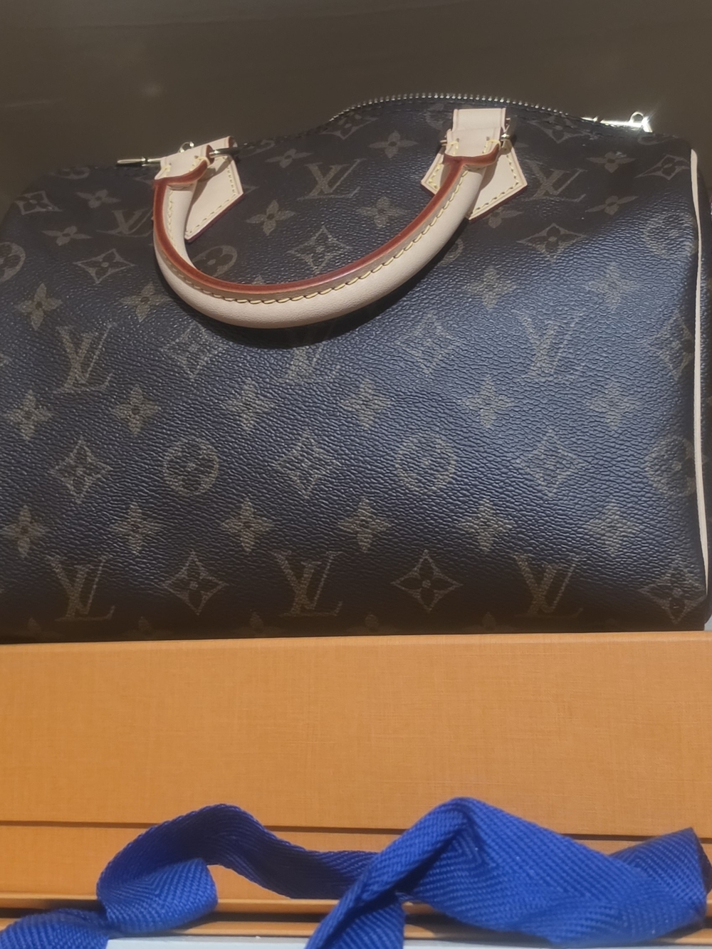 Louis Vuitton Monogram Canvas Speedy 30 Tote Bag in Brown